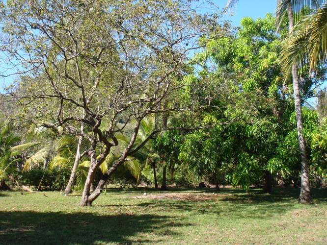 Venta Lote Segunda Fila Playa San Miguel Nandayure Guanacaste - Imagen 5