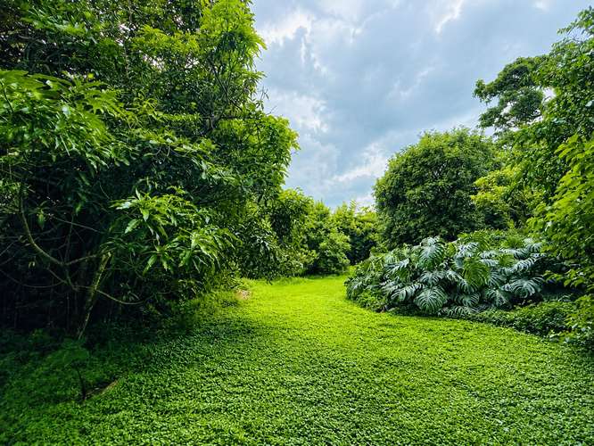 Venta terreno uso mixto Tres Ríos Cartago Costa Rica La Union