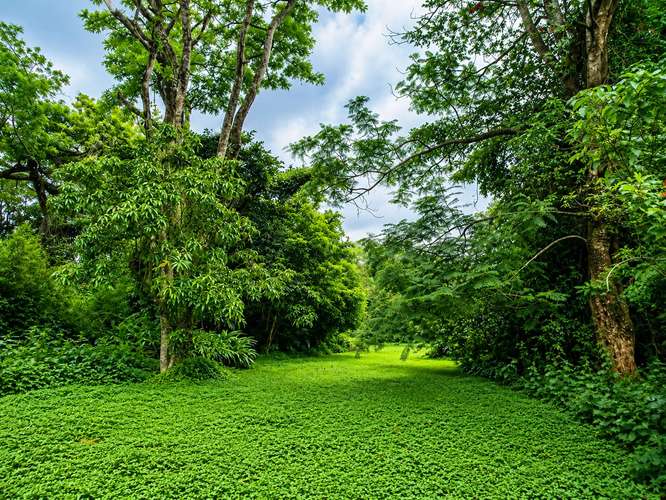 Venta terreno uso mixto Tres Ríos Cartago Costa Rica La Union