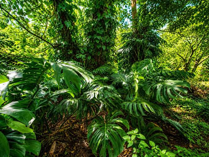 Venta terreno uso mixto Tres Ríos Cartago Costa Rica La Union