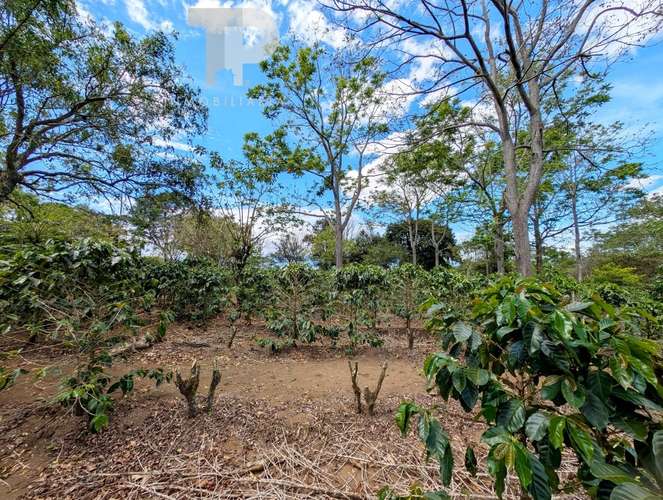 SE VENDE FINCA BIRRÍ SANTA BÁRBARA HEREDIA ZSP3 - Imagen 10