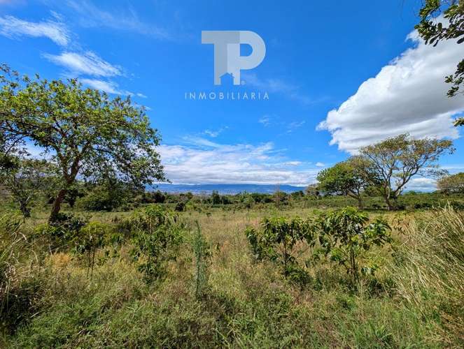 SE VENDE FINCA BIRRÍ SANTA BÁRBARA HEREDIA ZSP3 - Imagen 2