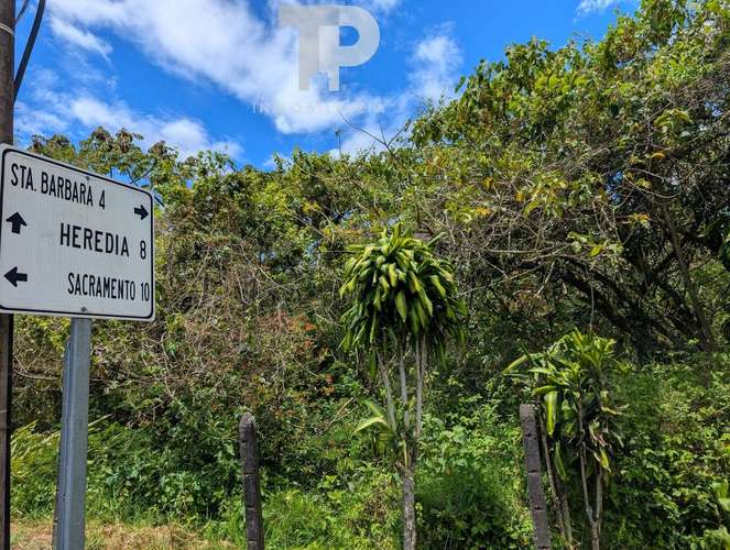 SE VENDE FINCA BIRRÍ SANTA BÁRBARA HEREDIA ZSP3 - Imagen 18