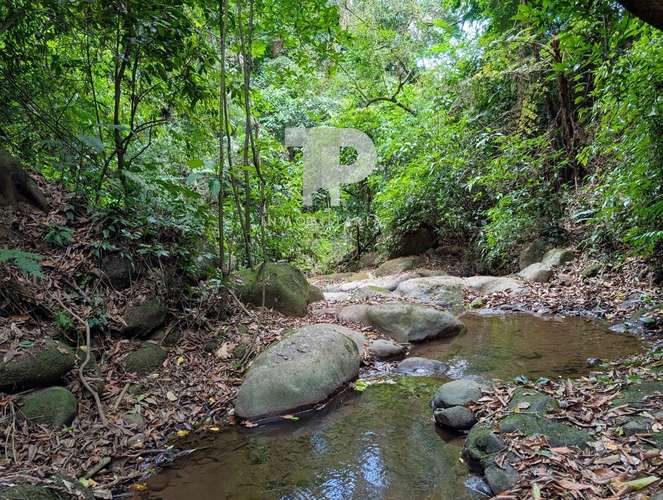 SE VENDE FINCA BIRRÍ SANTA BÁRBARA HEREDIA ZSP3 - Imagen 3
