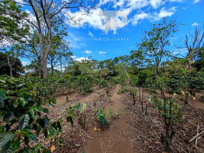 SE VENDE FINCA BIRRÍ SANTA BÁRBARA HEREDIA ZSP3