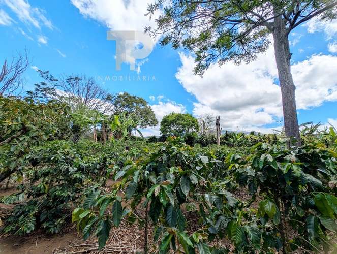 SE VENDE FINCA BIRRÍ SANTA BÁRBARA HEREDIA ZSP3
