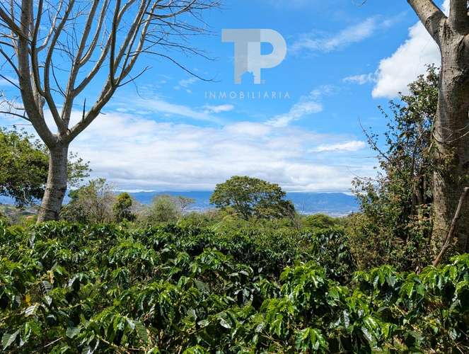 SE VENDE FINCA BIRRÍ SANTA BÁRBARA HEREDIA ZSP3