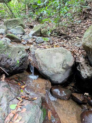 SE VENDE FINCA BIRRÍ SANTA BÁRBARA HEREDIA ZSP3