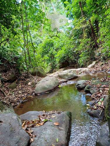 SE VENDE FINCA BIRRÍ SANTA BÁRBARA HEREDIA ZSP3