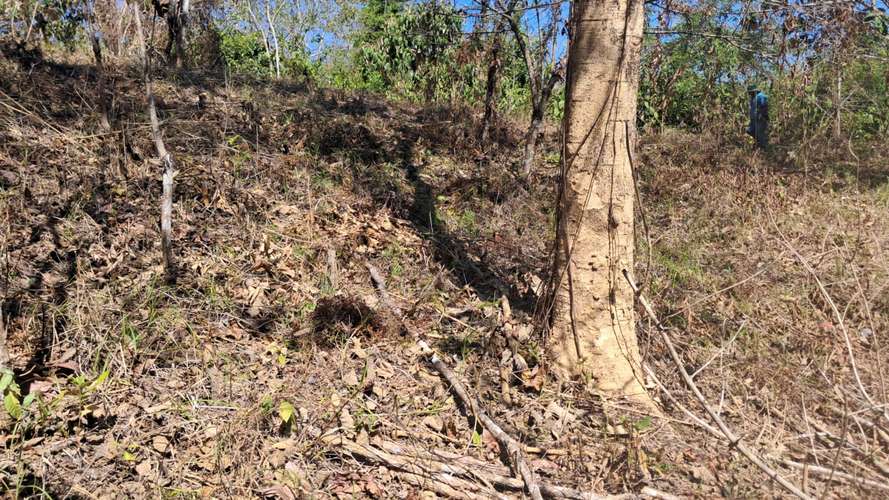 QUINTA EN VENTA 5000 m2. MONTEZUMA,  COBANO,  PUNTARENAS.