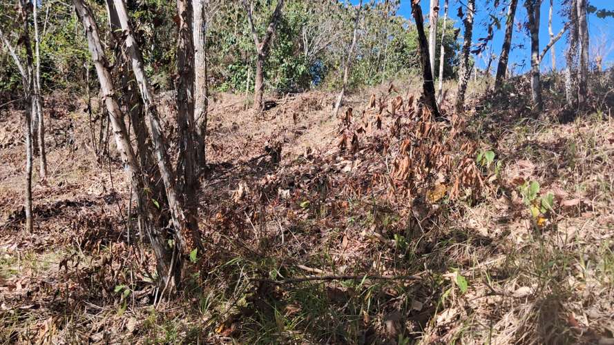 QUINTA EN VENTA 5000 m2. MONTEZUMA,  COBANO,  PUNTARENAS.