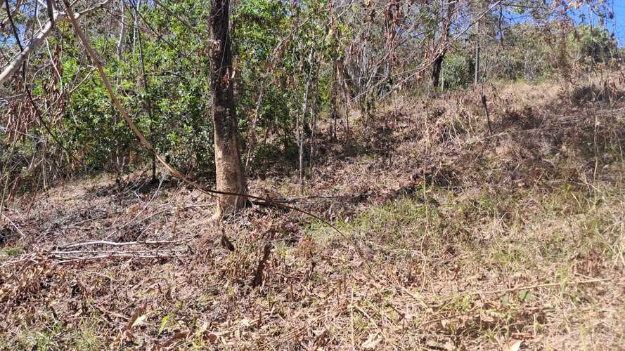 QUINTA EN VENTA 5000 m2. MONTEZUMA,  COBANO,  PUNTARENAS.