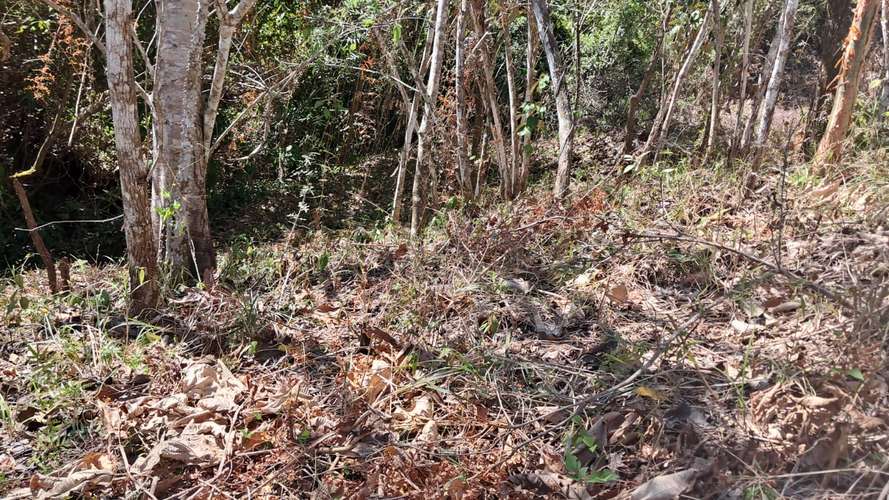 QUINTA EN VENTA 5000 m2. MONTEZUMA,  COBANO,  PUNTARENAS.