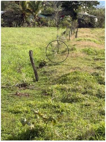 Finca Ganadera en Venta Bagaces, Guanacaste MV-255 - Imagen 9