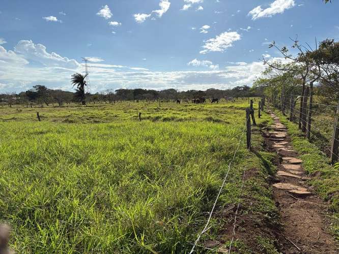 Finca Ganadera en Venta Bagaces, Guanacaste MV-255 - Imagen 8