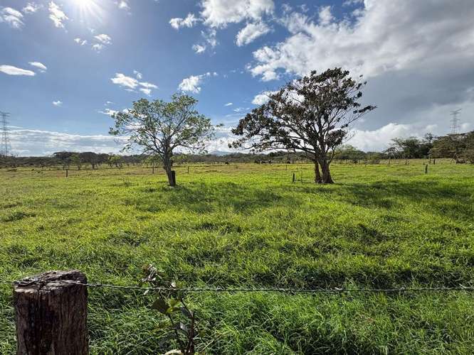 Finca Ganadera en Venta Bagaces, Guanacaste MV-255 - Imagen 6