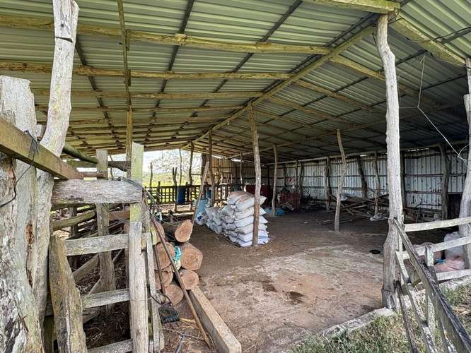 Finca Ganadera en Venta Bagaces, Guanacaste MV-255 - Imagen 4