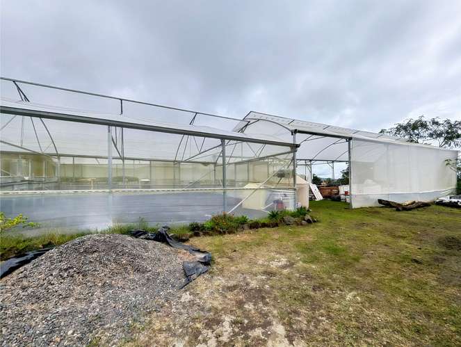 Propiedad en Venta en Cervantes de Cartago | 1.429 m2 con Vistas Espectaculares - Imagen 16