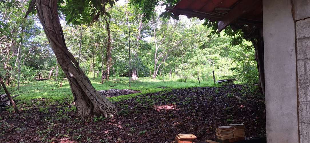 Se vende Lote con casita en el bosque - Imagen 6