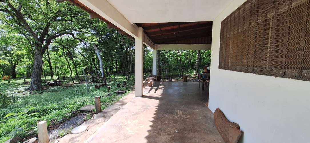 Se vende Lote con casita en el bosque - Imagen 4