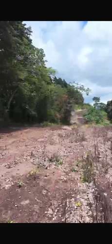 Espectacular lote en Escazu 75 000 m2  - Imagen 3