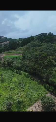Espectacular lote en Escazu 75 000 m2  - Imagen 2