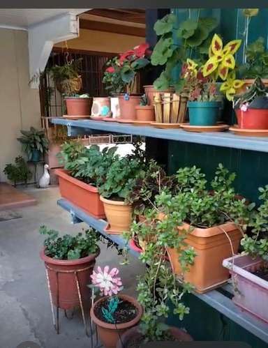 BARRIO ESCALANTE LINDO APARTAMENTO - Imagen 2