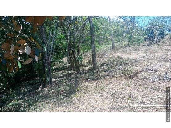 LOTE CON LINDA VISTA AL GOLFO, SAN PEDRO DE TURRUBARES, SAN JOSÉ - Imagen 8
