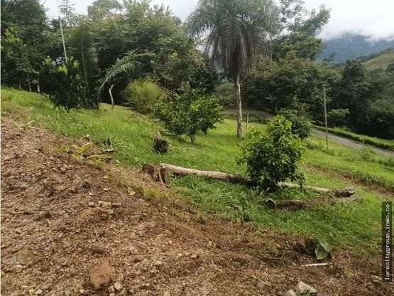 LOTE CON LINDA VISTA AL GOLFO, SAN PEDRO DE TURRUBARES, SAN JOSÉ - Imagen 9