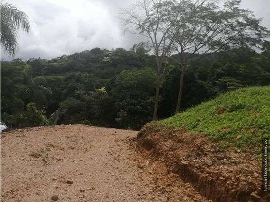 LOTE CON LINDA VISTA AL GOLFO, SAN PEDRO DE TURRUBARES, SAN JOSÉ - Imagen 4