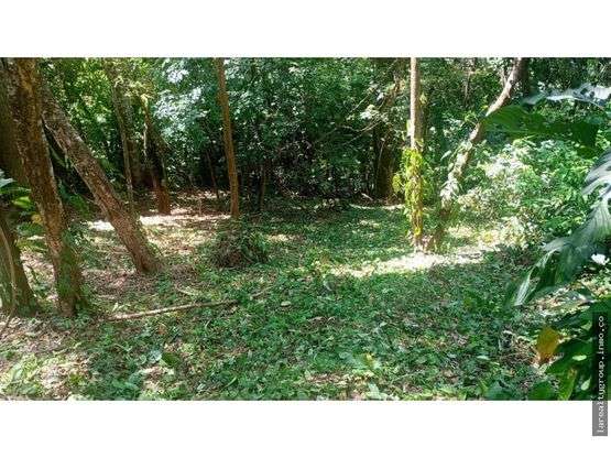 LOTE CON LINDA VISTA AL GOLFO, SAN PEDRO DE TURRUBARES, SAN JOSÉ - Imagen 2