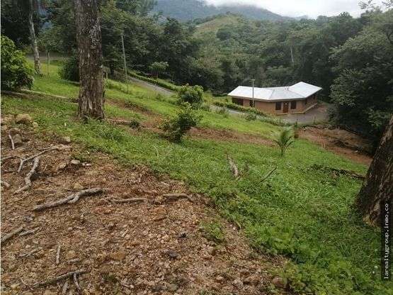 LOTE CON LINDA VISTA AL GOLFO, SAN PEDRO DE TURRUBARES, SAN JOSÉ - Imagen 7