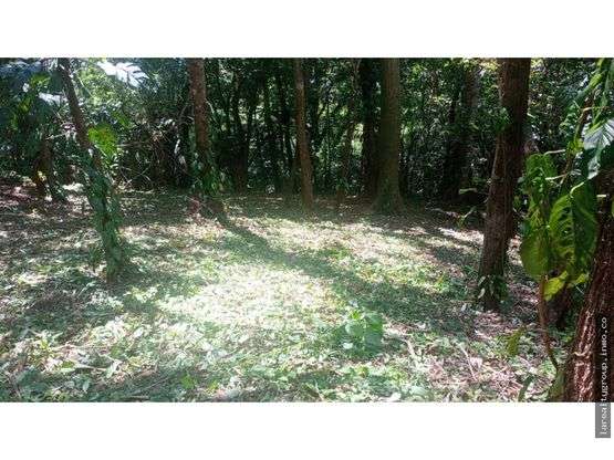 LOTE CON LINDA VISTA AL GOLFO, SAN PEDRO DE TURRUBARES, SAN JOSÉ - Imagen 6