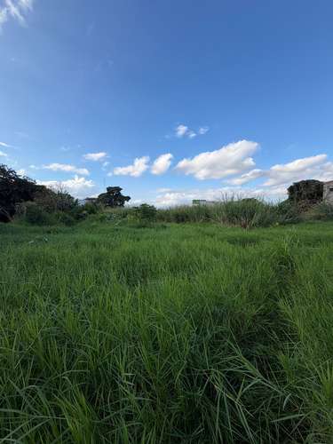 DUEÑO VENDE propiedad muy céntrica en San Rafael Abajo de Desamparados de 3072m2, frente calle principal.  - Imagen 6