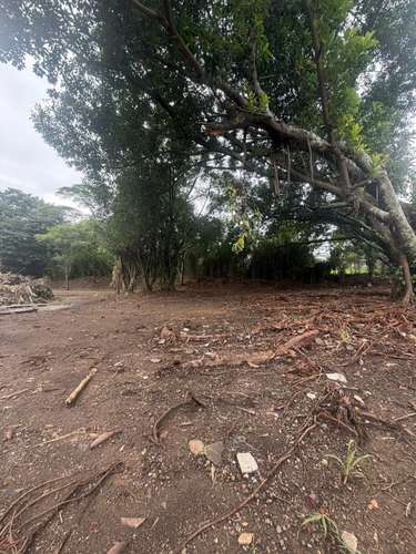 Gran oportunidad de inversión en Desamparados: propiedad con amplio terreno - Imagen 10