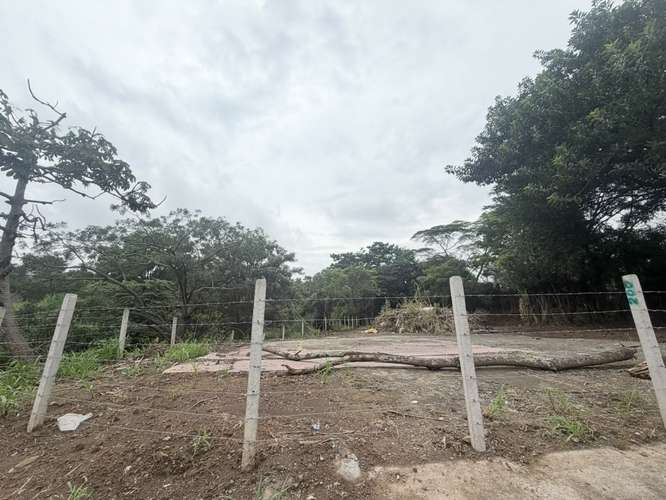 Gran oportunidad de inversión en Desamparados: propiedad con amplio terreno - Imagen 3