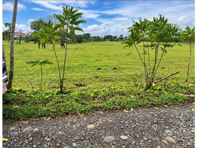 Lotes en venta en Muelle de San Carlos | Financiamiento del dueño - Imagen 3