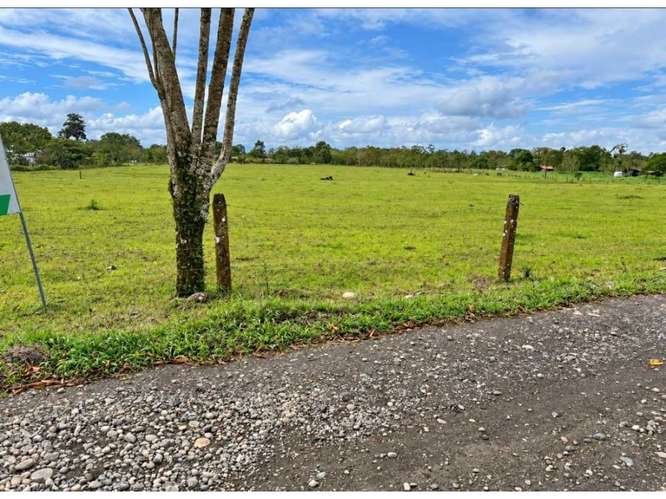 Lotes en venta en Muelle de San Carlos | Financiamiento del dueño - Imagen 2