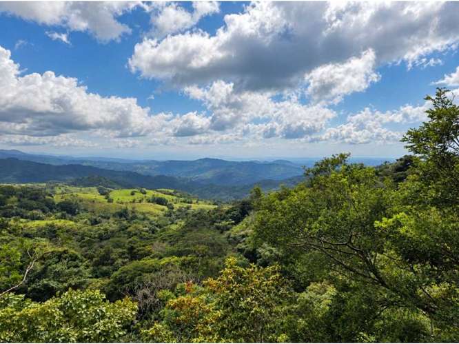  FINCA DE 10,3 HAS. EN VENTA EN PIEDADES SUR, SAN RAMÓN | 170 Mill. - Imagen 19