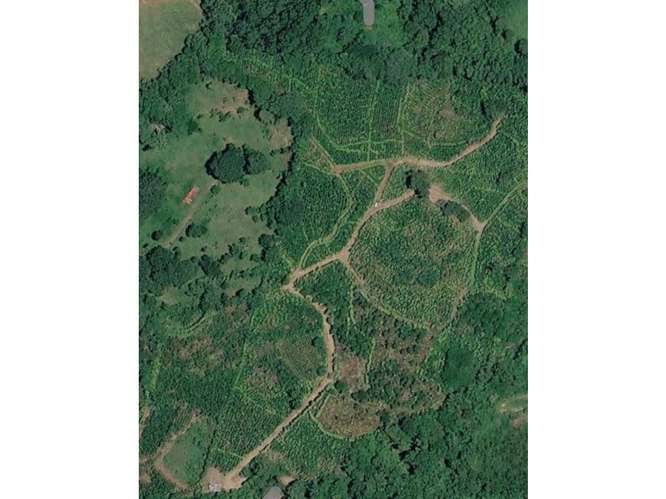 Finca en venta en San Ramón con vista al océano | 28.100 m² Magallanes - Imagen 11