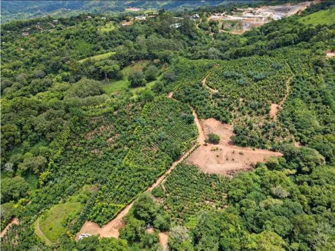Finca en venta en San Ramón con vista al océano | 28.100 m² Magallanes - Imagen 6