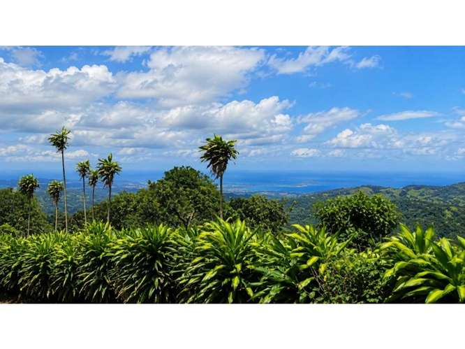 Finca en venta en San Ramón con vista al océano | 28.100 m² Magallanes