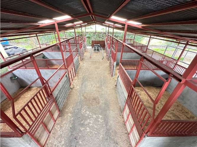 QUINTA ECUESTRE EN VENTA EN LA GARITA, ALAJUELA| 9.582 m²| US$950.000 - Imagen 5