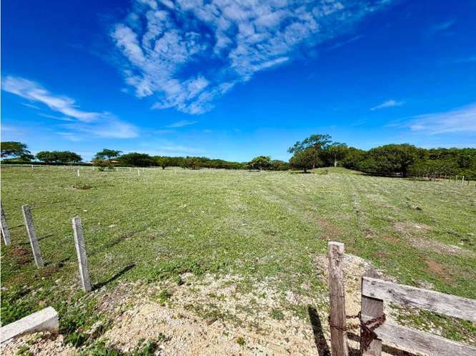 Terreno comercial sobre Ruta 1 en Cañas | 46.874 m² - Imagen 11