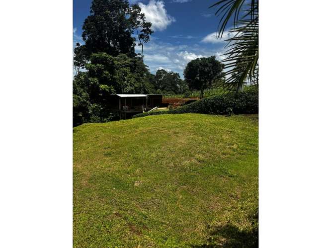 Venta de Lindo Lote en Chachagua - Imagen 7