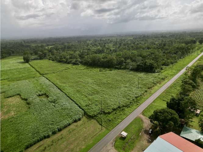 Preciosos Lote de 2000 m2 en Fortuna - Imagen 2