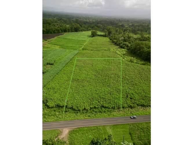 Preciosos Lote de 2000 m2 en Fortuna - Imagen 7