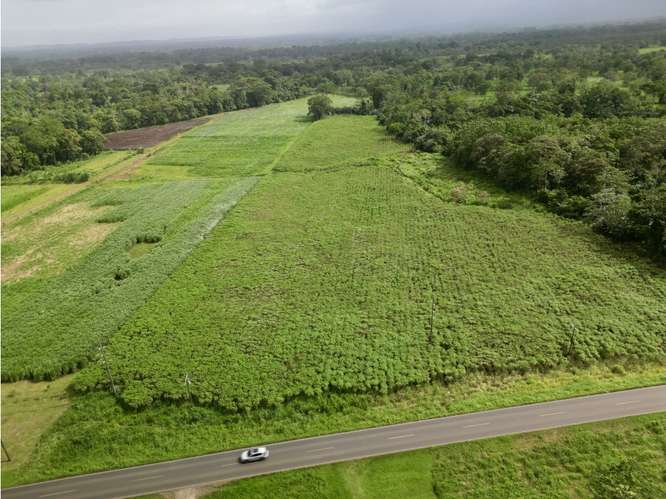 Preciosos Lote de 2000 m2 en Fortuna - Imagen 1