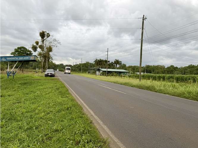Preciosos Lote de 2000 m2 en Fortuna - Imagen 5
