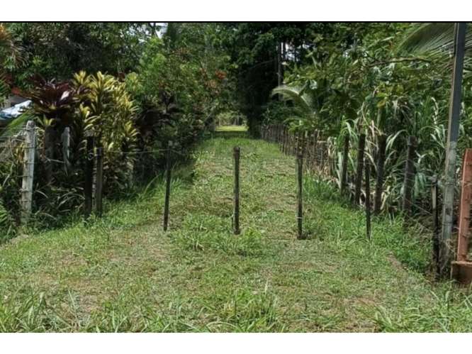 Hermoso Lote Tipo Quinta en Horquetas de Sarapiquí - Imagen 1